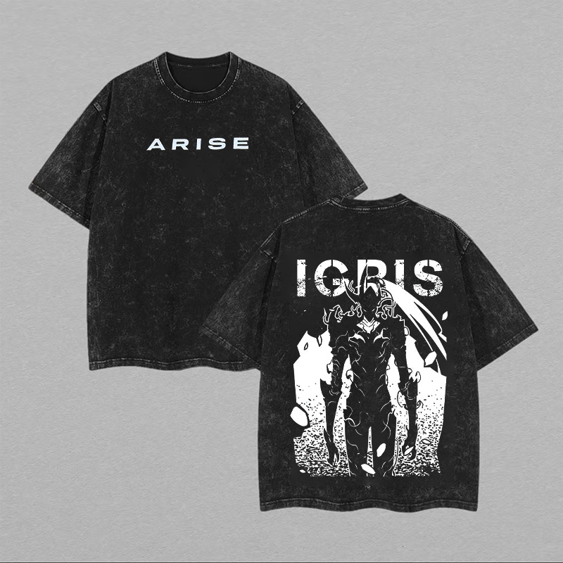 Solo Leveling Igris Bedrucktes Unisex Washed T-Shirt