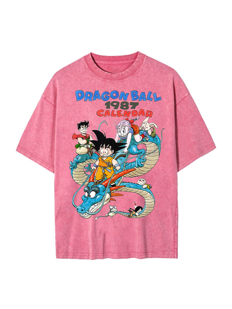 DBZ 1987 Vintage-T-Shirt