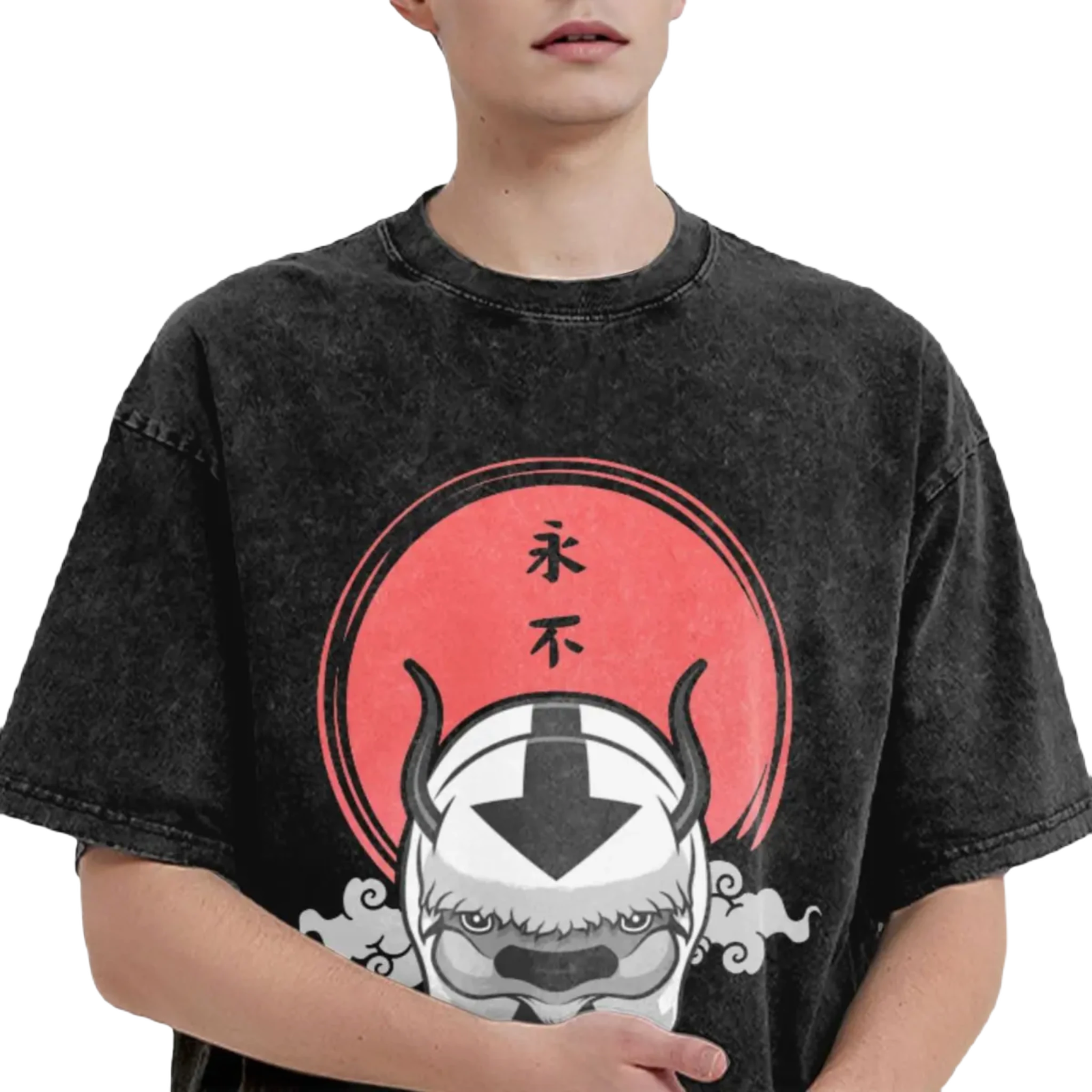Anime Washed Vintage Tee "Avatar The Last Airbender Appa"
